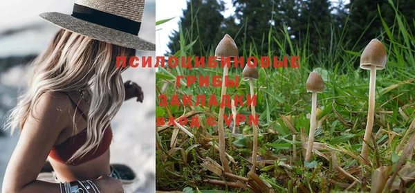 ПСИЛОЦИБИНОВЫЕ ГРИБЫ Белокуриха