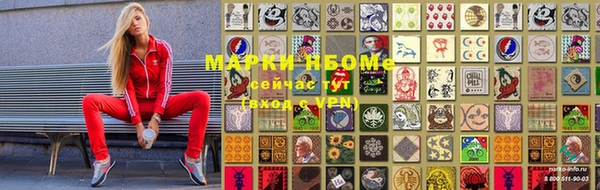ПСИЛОЦИБИНОВЫЕ ГРИБЫ Белокуриха
