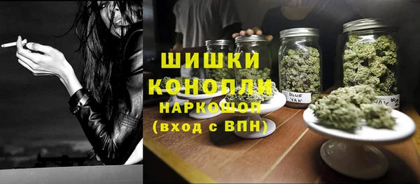 2c-b Инта